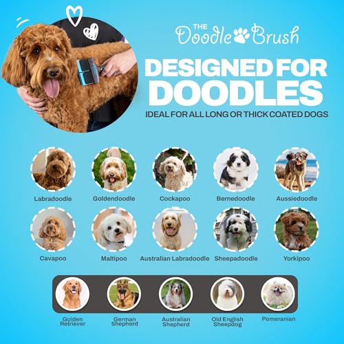 The Doodle Brush - Hundebürste für Goldendoodles & Labradoodle, hundebü langhaar Pudelbürste - entfilzer für hunde - zupfbürste hund, Entwirrungsbürste für Hunde - Hundehaarbürste (Doppelkopf)