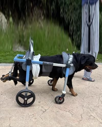 Dog Wheelchair Injured All Legs Pet Leg Braces, Small Medium Large Handicap Dog Wheelchair 4 Wheels Full Support, Comfortable Wheel Rolling Support Tools(M)