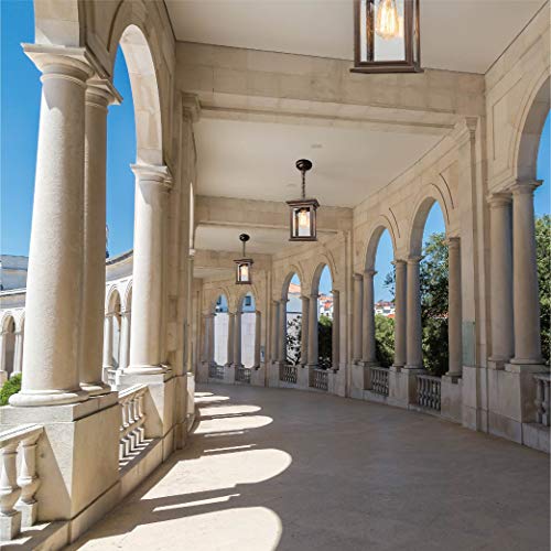 Jetima Outdoor Pendant Light Exterior Ceiling Light With Aluminum Finish And Tempered Clear Seeded Glass Oil Rubbed Bronze (Orb) For Entryway, Porch, Doorway #TOP1