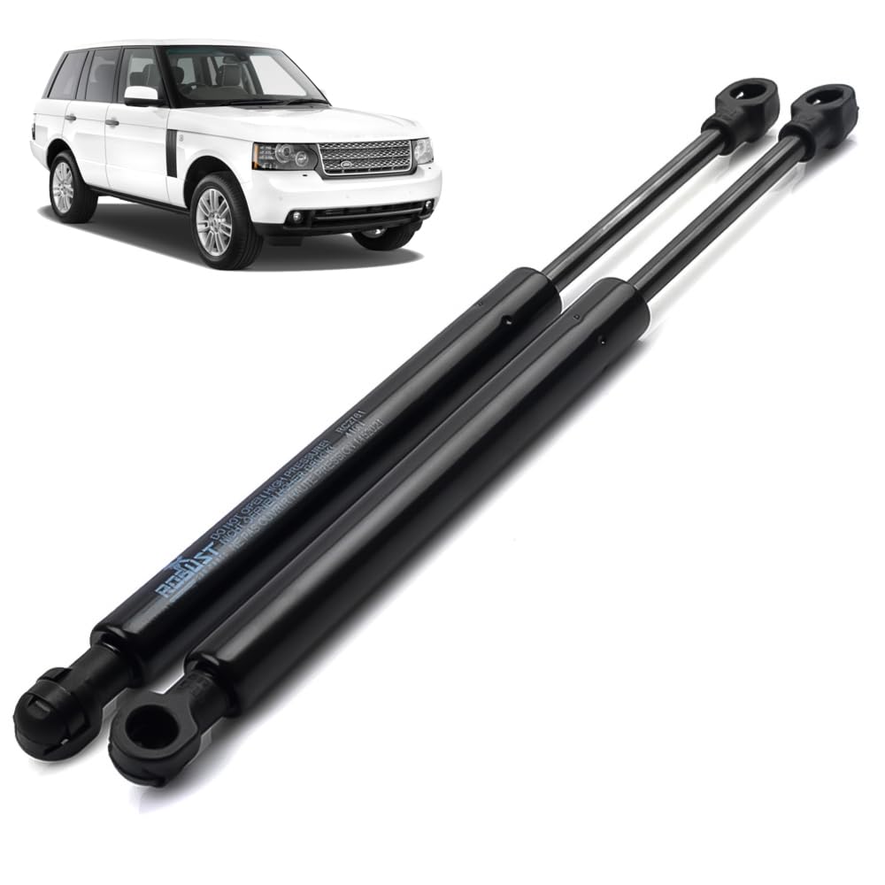 Robusti puntoni a gas per cofano anteriore, 2 pezzi, 410 (N) 294 mm, per Land Rover Range Rover L322 III Mk3 BKK760010 XH4216E610AA 32029656 2002-2012