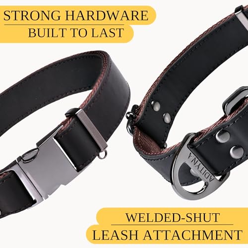Image of ADITYNA Leather Dog Collar for Large & Extra Large Dogs, Adjustable 19-30 inch | Padded, heavy-duty metal buckle. Great for walking, training - ideal for Rottweiler, German Shepherd, Mastiff and Great Dane.