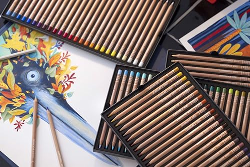 Caran d'Ache Luminance 6901 Box of 100 Individual Coloured, Artists, Colour Coded Pencils & 1 Full & 1 Pencil Blender