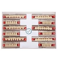 Natudeco Kunstharz Zahn Acrylharz Prothesenzähne Dental Kunstharz Falsche Zähne Für Prothesenmodelle, DIY-Projekte, Professionelle Zahnarztbedarf