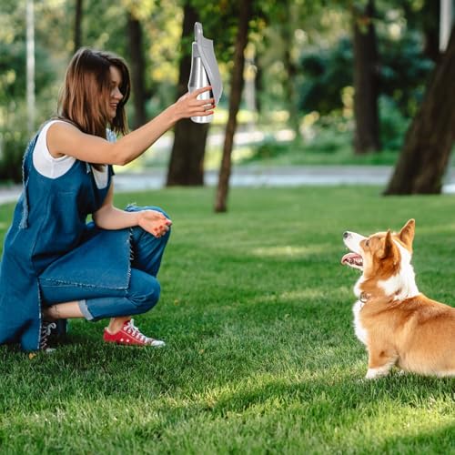 Bouteille d'eau pour chien robuste et anti-fuite avec récipient en acier inoxydable