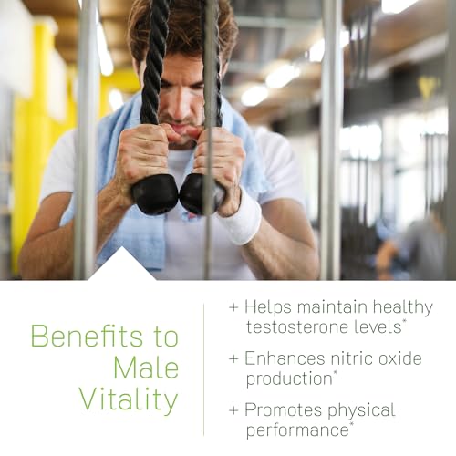 Irwin Naturals Testosterone UP RED Softgels