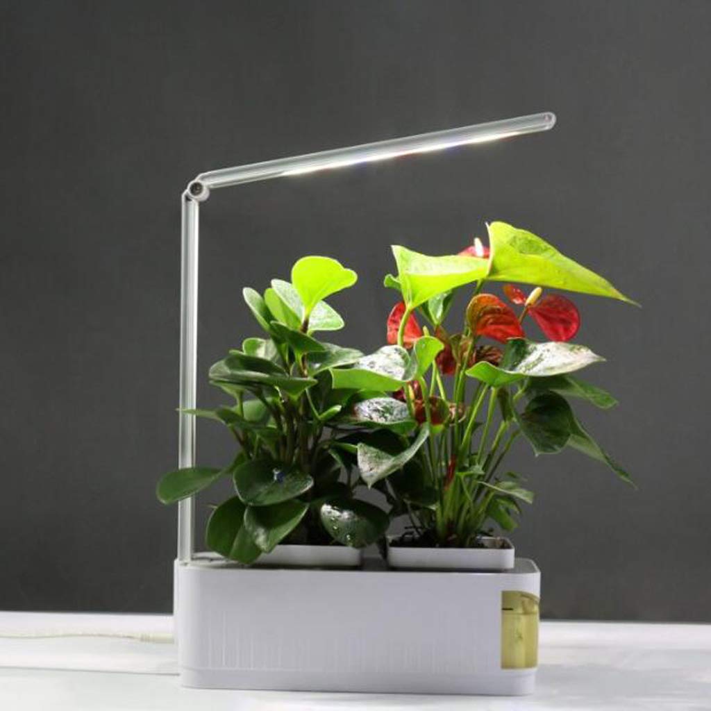 TEmkin Ampoules de Croissance à LED, Lampe de Lecture de Protection des Yeux, Lampe de Culture à Spectre Complet pour Plantes, Culture Hors-Sol LED à Spectre Complet pour Plantes d'intérieur