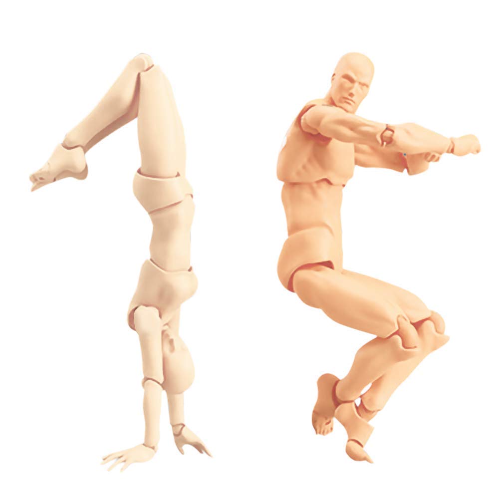 Amazon.co.jp: モデル人形 マネキン デッサンドール PVC 可動式 リアル