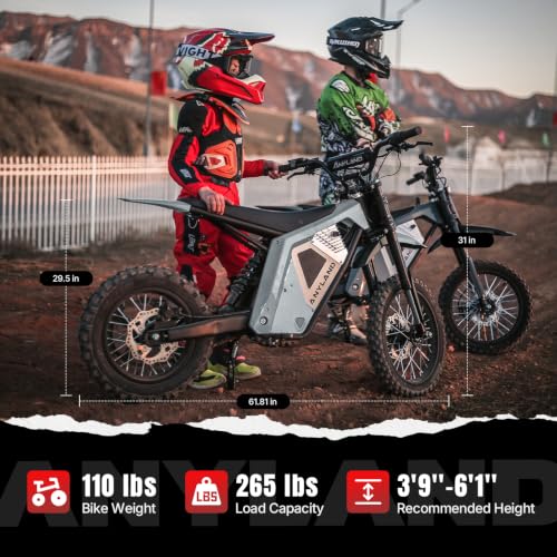 Anyland Rev Pro 3000W Auto Wheelie Bike