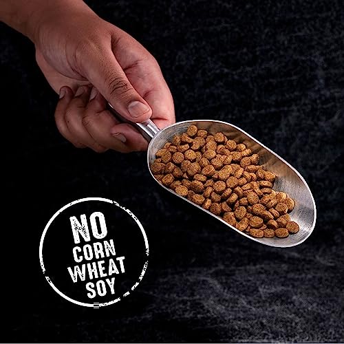 Crave Grain Free High Protein Adult Dry Dog Food, Beef, 22 Lb. Bag #TOP7