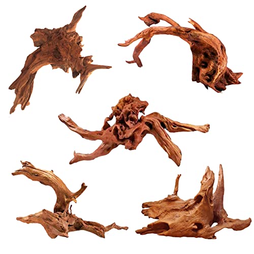 Most Wished For Items customers added to Wish Lists and