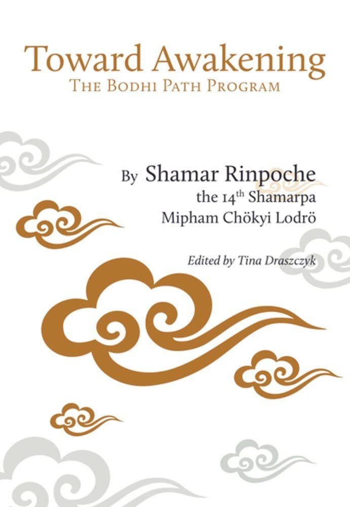 A Path of Practice: The Bodhi Path Program