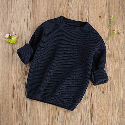 Image of Kids Toddler Baby Girl Boy Crewneck Long Sleeve Knit Sweater Casual Pullover Tops Basic Fall Winter Clothes