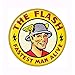 The Flash Fastest Man Alive