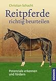 Reitpferde richtig beurteilen: Potenziale erkennen, Talente fördern