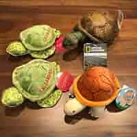 新品・タグ付き！　ウミガメ リクガメ　カメグッズ　8点セット 新品・タグ付き！ ウミガメ リクガメ カメグッズ 8点セット