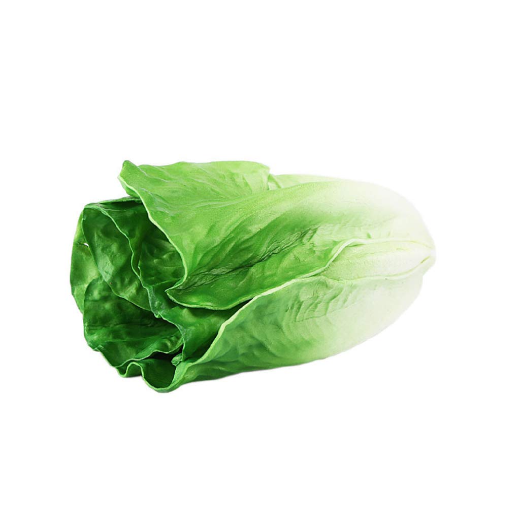 NEWFT Artificial Food Fake Agriculture Gardening Display for Greenhouse Planting Mature Vegetable Wedding Party Dolls