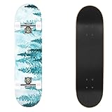 31' x 7.88' Maple Wood Double Rocker Skateboard for Beginners, Adults, Teens, 150kg...