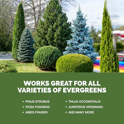 Fertilizante Líquido para Árboles Evergreen 32 oz miniatura 5
