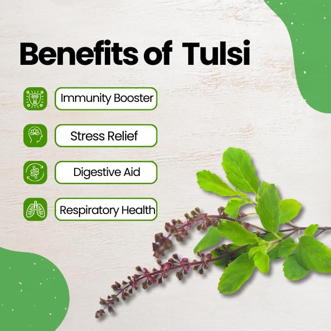 Image of Jaivik Uttarakhand - Lavender Flower Buds, Tulsi Leaves Tea (100g each) Unique Blend Crafted Loose Leaf For Chai Lovers Across India, Combo (Pack Of 2)