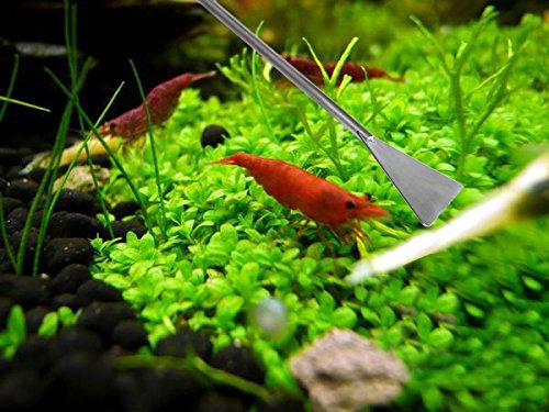 Co-Link 5 In 1 Stainless Steel Aquarium Tank Aquatic Plant Kit - 5 With Straight Scissors, Curved Scissors, Substrate Spatula, Straight Tweezers, Bent Tweezers #TOP4