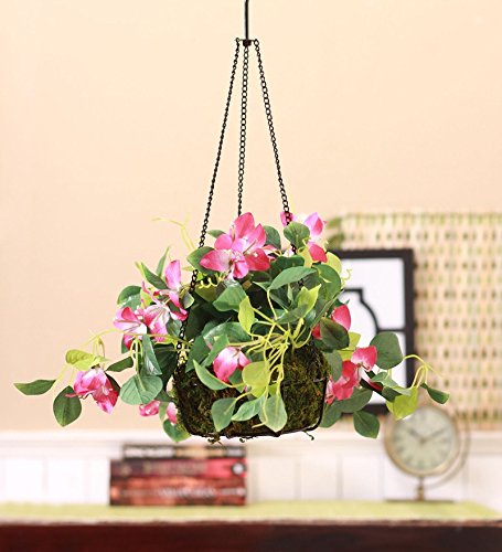 Fourwalls Decorative Polyester Artificial Bougainvillea Plant with Hanging Basket (40 cm, Purple, HANGING 23 CM BOUGAINVILLEA -1580-PPL)-picture-38