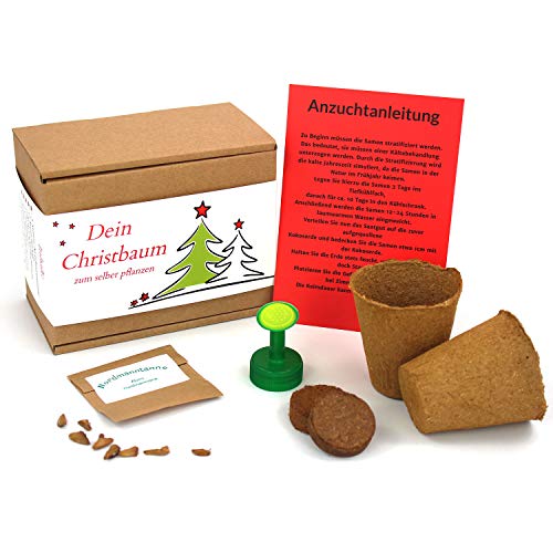 ANISTA Weihnachtsbaum Anzuchtset witziges Wichtelgeschenk Nikolausgeschenk Cover