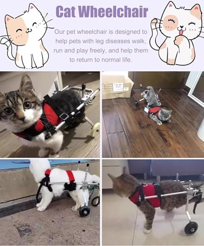 Katze Rollstuhl für Hinterbeine, Aluminium Haustier Rollstuhl, Gehhilfe Ausrüstung, auf Rädern Handwagen (Größe M)