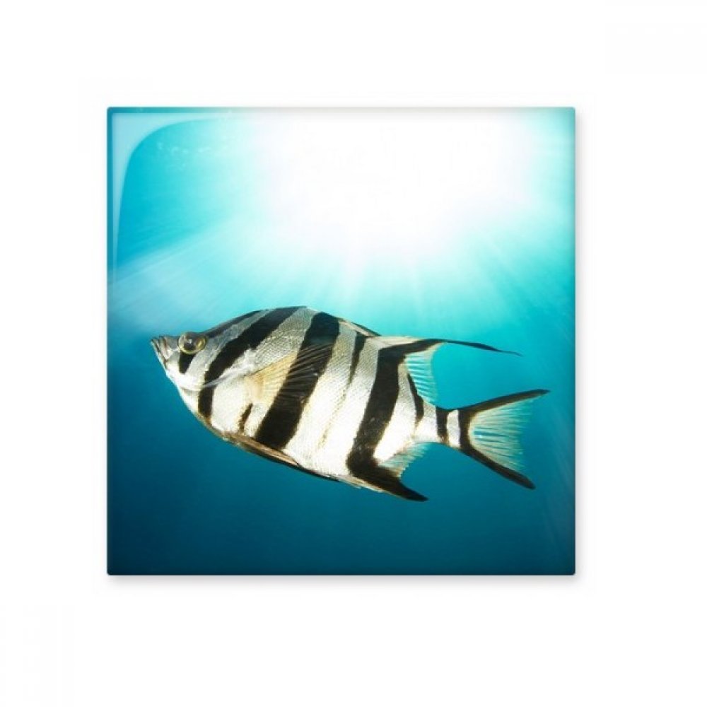 Mer poisson tropical carrelage céramique brillant cadeau artisanat unique