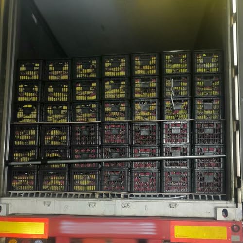 Barres antidérapantes pour éliminer les risques de chute en camion - 7