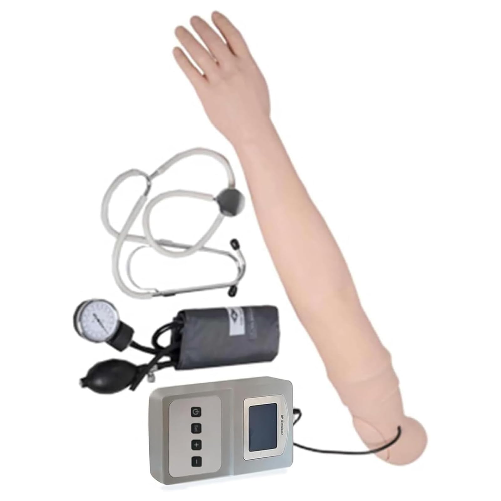 Mit komplettem Zubehör-Blutdruck-Trainingsarmsimulator | Fortschrittliches Blutdruck-Trainingsarm-Simulatormodell for die Patientenaufklärung und das Lehren von Schulungsfähigkeiten
