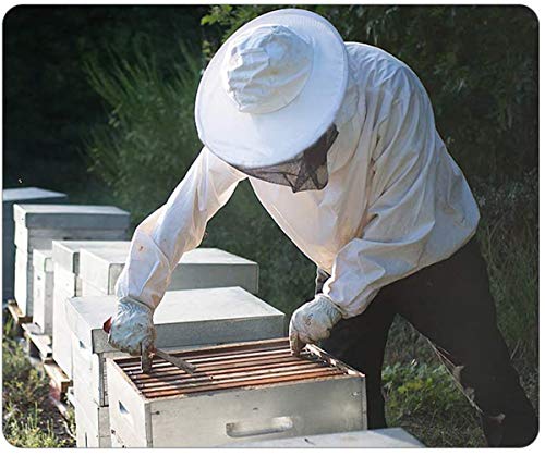 dancepandas Imkerhandschuhe 2 Paar Bienenzucht Handschuhe Ziegenleder Schutzhandschuhe Bienenzucht Beekeeping Gloves für… – Bild 8