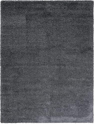 Image of Ultra-Soft Shaggy Carpet (4 X 6 FEET, Grey) Fluffy, Cozy & Durable Area Rug for Living Room, Bedroom & More ? Premium Modern Design