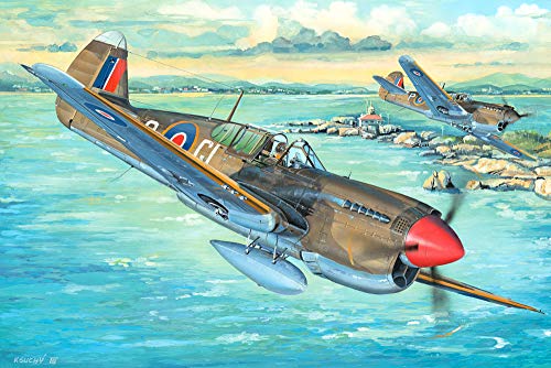 Trumpeter P-40M P-40N Warhawk Kittyhawk 1:32 maquette avion chasse