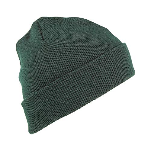 HUF 1993 Logo Beanie – Botanical Green – One Size - 2