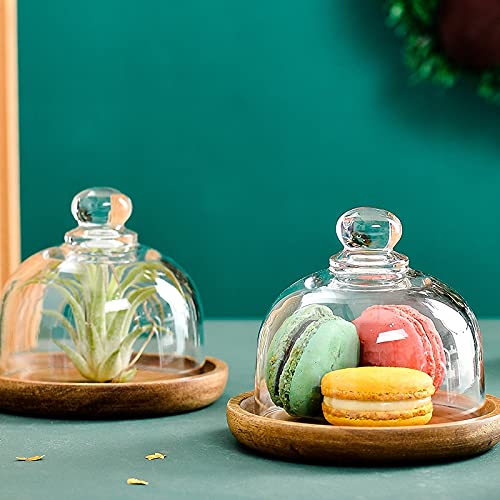 Burriere Piatto in legno Piatto di burro con coperchio di vetro Cake Destert burro Box Housewares Decorazioni da cucina Festive Party Party Stoviglie creative Contenitore per Burro