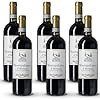 Villino Azzurro Montepulciano d’Abruzzo DOC, trocken, sortenreines Weinpaket + VINOX Winecards (6×0,75l)