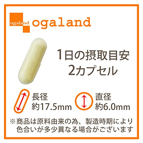 抗糖化 肌を老化させない法則 食べ物 究極のアンチエイジング Jolieful