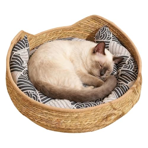 Genérico Cama Cesta para Gatos | Suministros Mascotas Tejidos Y Lavables con Cojín Y Almohada | Cama Alfombra para Gatos | para Interior Exterior Viaje Coche Camping Ventana Silla Sofá Habitación
