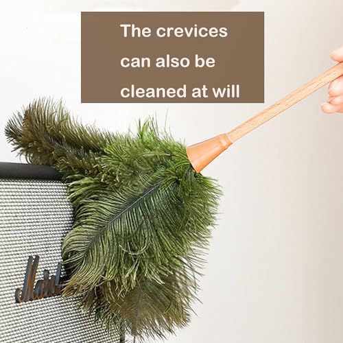 Image of Ostrich Feather Dusters, Naturally Soft, Easy to Dust, Multi-Purpose Use, Solid Wood Handle, 17.3'' Long, Dark Green
