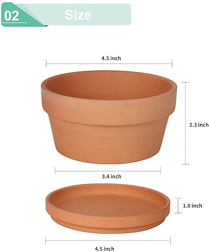 Miniatura 9 de vensovo Macetas de terracota gris de 5.7 pulgadas para suculentas poco profundas, paquete de 6 macetas de arcilla terracota con platillo, macetas de