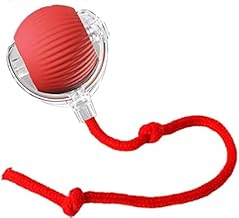 Hexigo Interactive Cat Ball Toy, Automatic 2-Speed Rechargeable with Tail, for Indoor Cats, Red