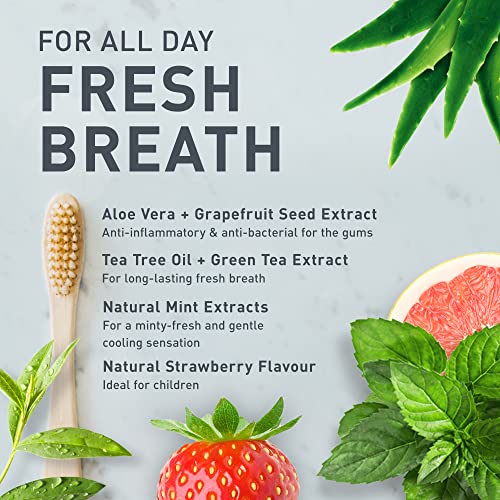 Tanitabs Strawberry Toothpaste Tablets, Fluoride-Free, Natural Toothpaste For Gum And Teeth Care, Zero-Waste Travel Toothpaste Tabs In Refill Pouch, Natural Strawberry Flavor, 62 Tablets - Tanit #TOP3