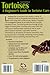 Tortoises: A Beginner's Guide to Tortoise Care