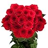 50 Red Roses- Beautiful Flowers- Express Delivery