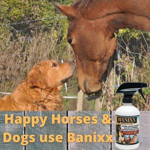 Banixx Horse And Pet Care 16 Oz #TOP6