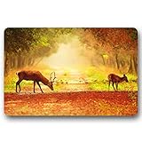Bath mat with thick memory-foam core offers a dry and luxuriously comfortable place to stand