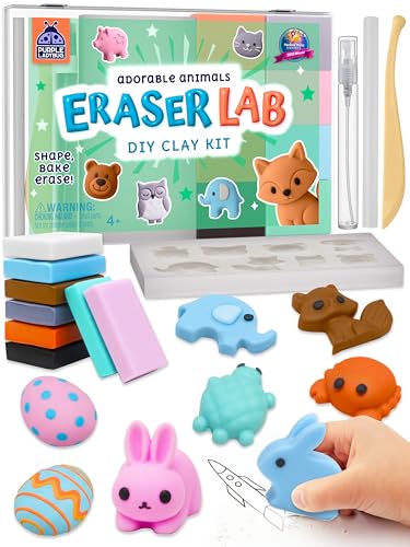 DIY Clay Cute Mini Eraser Kit for Kids - Birthday Gifts for 4 5 6 7 8...