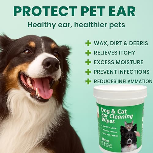 Image of CTWPets Dog & Cat Ear Cleaning Wipes, Green Tea Scent, 50 Count