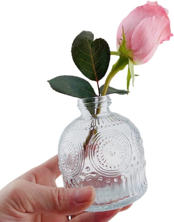 MEETOZ Glass Bud Vases Set of 6,Mini Vintage Bottles,for Home Wedding Party Event Office,Petite Modern Glass Flower Vase Floral Arrangements (Transparent-X) - Image 4