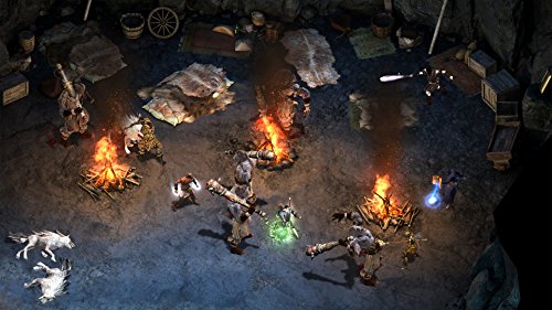 Pillars of Eternity Expansion Pass Code Steam PC Mac complet - 2